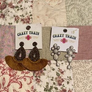 Crazy Train Brown and Silver Statement Earrings